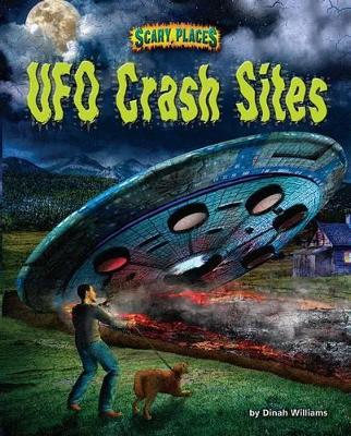 UFO Sites book
