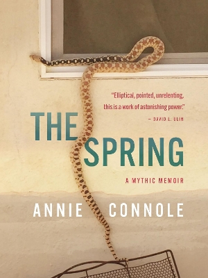 The Spring book