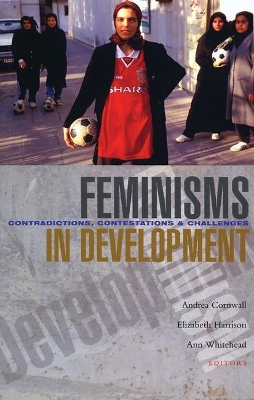 Feminisms in Development book