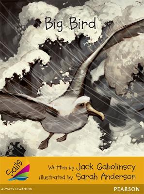 Sails Fluency Gold: Big Bird book