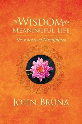 Wisdom of a Meaningful Life book