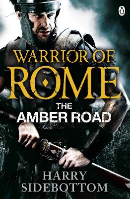 Warrior of Rome VI: The Amber Road book