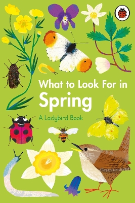 What to Look For in Spring book