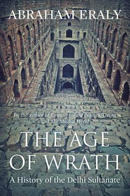 The Age Of Wrath: A History Of The Delhi Sultanate book