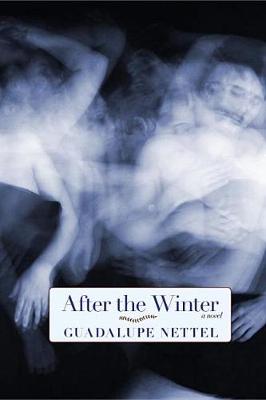 After The Winter book