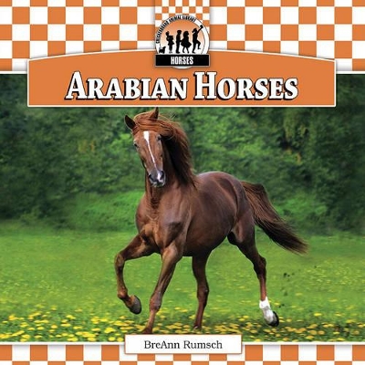 Arabian Horses book