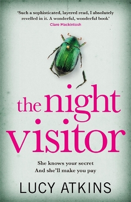 Night Visitor book