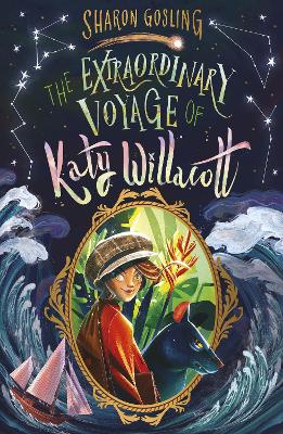 The Extraordinary Voyage of Katy Willacott book