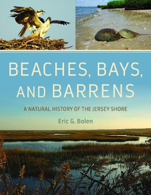 Beaches, Bays, and Barrens: A Natural History of the Jersey Shore book