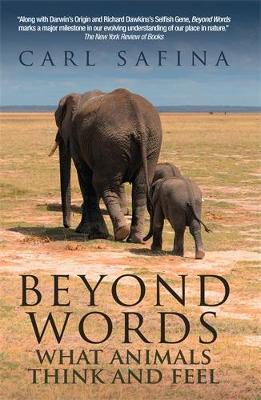 Beyond Words: What Animals Think and Feel by Carl Safina