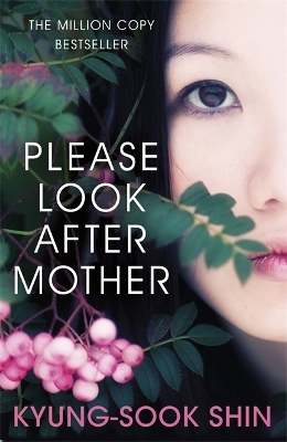 Please Look After Mother book