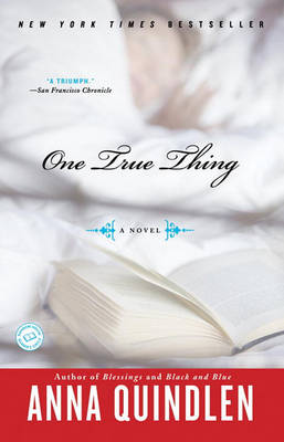 One True Thing book