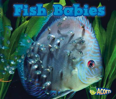 Fish Babies by Catherine Veitch