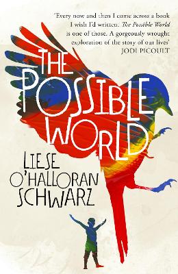 Possible World by Liese O'Halloran Schwarz
