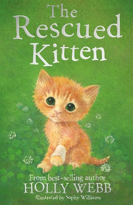 Rescued Kitten book