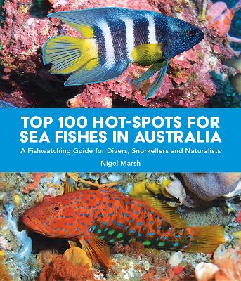 TOP 100 HOT-SPOTS FOR SEA FISHES IN AUSTRALIA: A fishwatching guide for divers, snorkelers and naturalists book