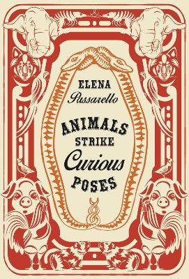 Animals Strike Curious Poses book