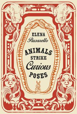 Animals Strike Curious Poses by Elena Passarello