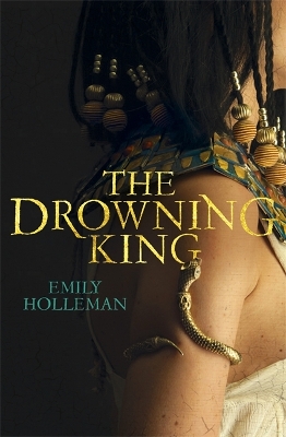 Drowning King book