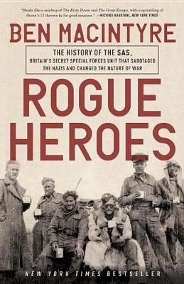 Rogue Heroes book
