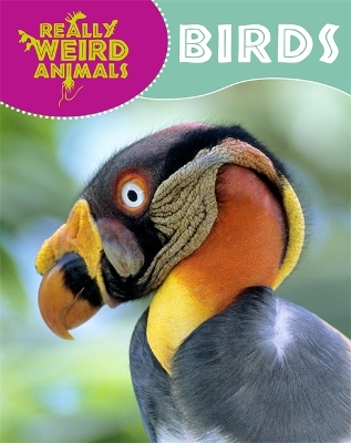 Really Weird Animals: Birds book