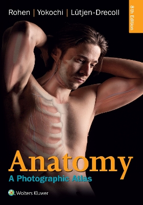 Anatomy by Johannes W. Rohen