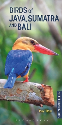 Birds of Java, Sumatra and Bali by Tony Tilford