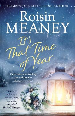 The It's That Time of Year: A heartwarming festive read from the bestselling author of The Reunion by Roisin Meaney