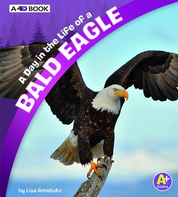 A Day in the Life of a Bald Eagle by Lisa J. Amstutz