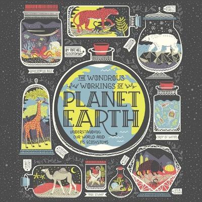 The Wondrous Workings of Planet Earth: Understanding Our World and Its Ecosystems by Sarah Mollo-Christensen