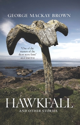 Hawkfall book