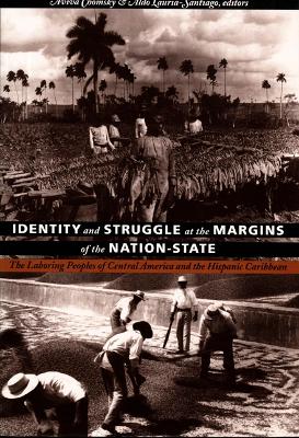 Identity and Struggle at the Margins of the Nation-State book