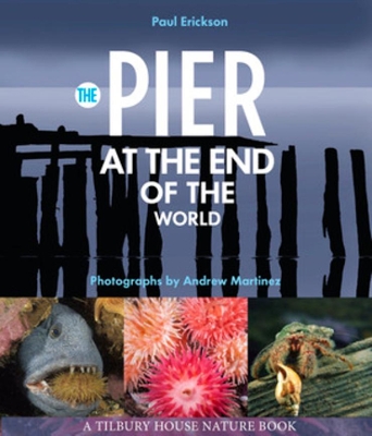 The Pier at the End of the World book