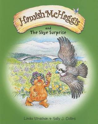 Hamish McHaggis: & the Skye Surprise book