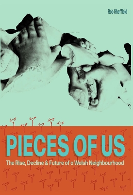 Pieces of Us book