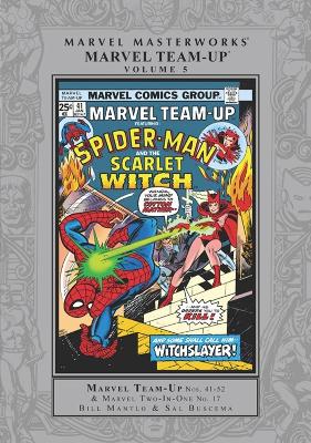 Marvel Masterworks: Marvel Team-Up Vol. 5 book