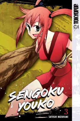 Sengoku Youko, Volume 3 book