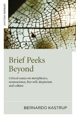 Brief Peeks Beyond book