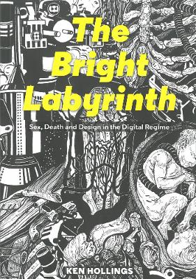 Bright Labyrinth book