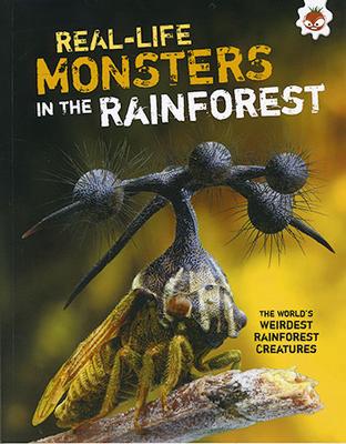 Weirdest Rainforest Creatures book