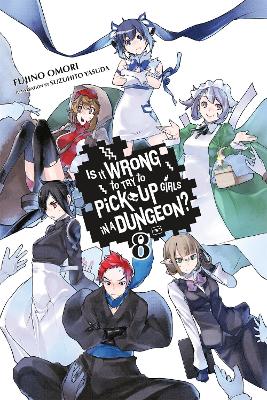 Is It Wrong to Try to Pick Up Girls in a Dungeon?, Vol. 8 (Novel) book