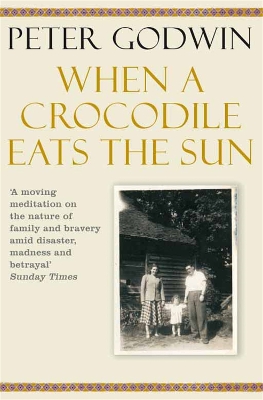 When A Crocodile Eats the Sun book