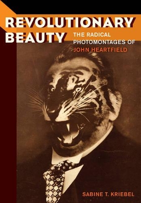 Revolutionary Beauty book