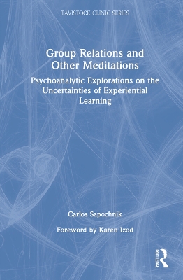 Group Relations and Other Meditations: Psychoanalytic Explorations on the Uncertainties of Experiential Learning book