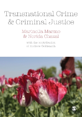 Transnational Crime and Criminal Justice book