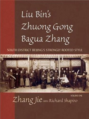 Liu Bin's Bagua book