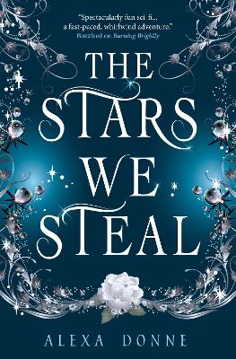 The Stars We Steal book