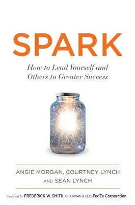 Spark: How to Lead Yourself and Others to Greater Success book