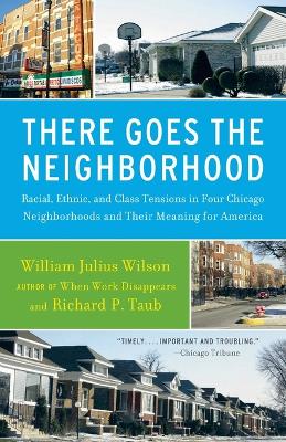 There Goes the Neighborhood: Racial, Ethnic, and Class Tensions in Four Chicago Neighborhoods and Their Meaning for America book