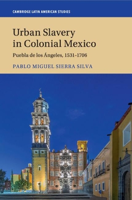 Urban Slavery in Colonial Mexico: Puebla de los Ángeles, 1531–1706 book